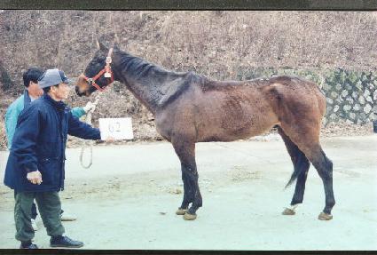 �ö�ְ���Ÿ ����