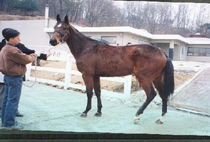 ������������ ����