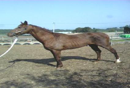 �������Ϸ��� ����