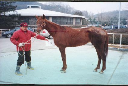 ����������Ŀ�Ͼ� ����