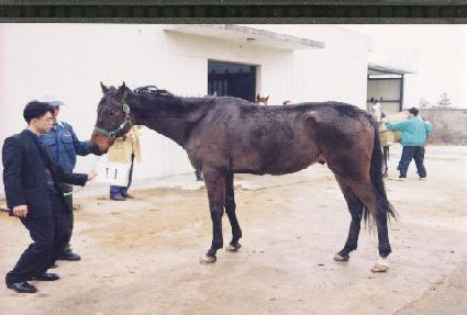 ��������� ����