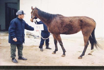 �ý����� ����