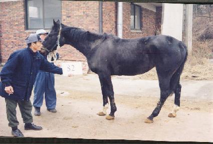 ��緺�� ����