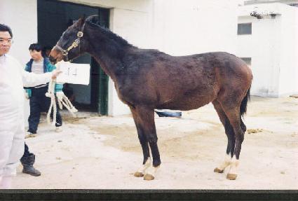 ���۸��� ����