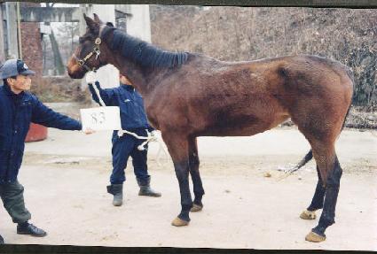 ����ƾ���� ����