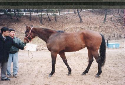 �ķ������������� ����