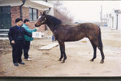 ��ū�� ����