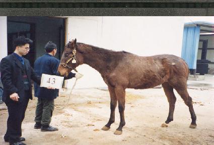 �̽������� ����