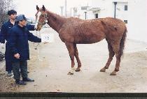 �̽�Ƽ�÷�ġ (MYSTICAL LAUNCH) ����