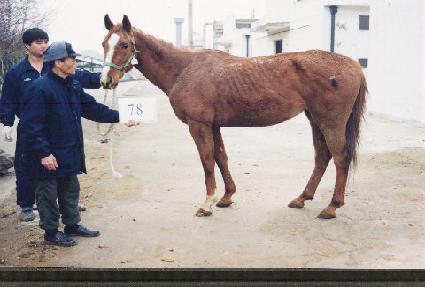 �̽�Ƽ�÷�ġ ����