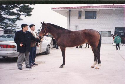 �Ͽ������̺�Ƴ� ����