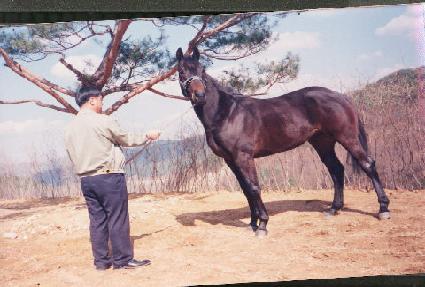 ����� ����