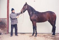 ��â�� (SAECHANGCHUL) ����