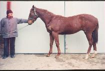 �ϴú� (HANEULBI) ����