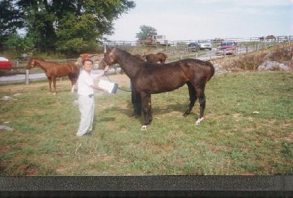 ������� ����