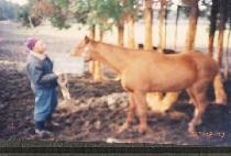 ���������̺� (BUCK JUMP BABY) ����