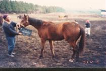 ����ũ�̾��Ʈ���� (MAKEMEANACTRESS) ����