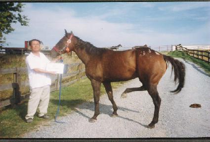 ���̾���� ����