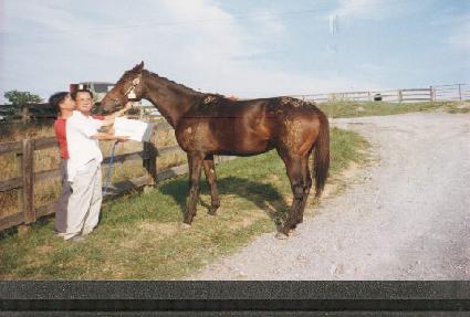 ��ī�̽���Ʈ ����