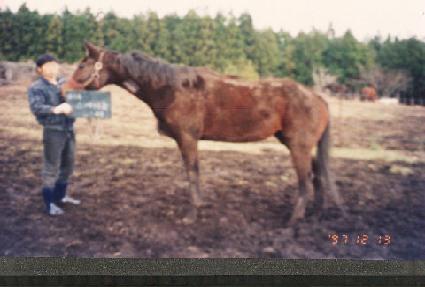 �����̾�� ����