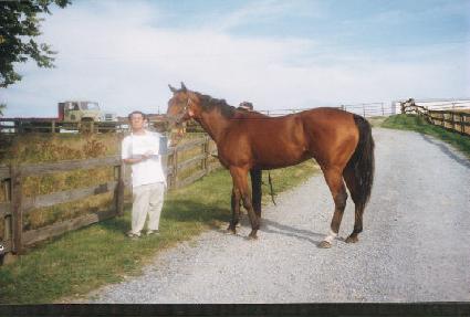 ����������޸� ����