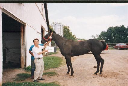 ��Ų�� ����