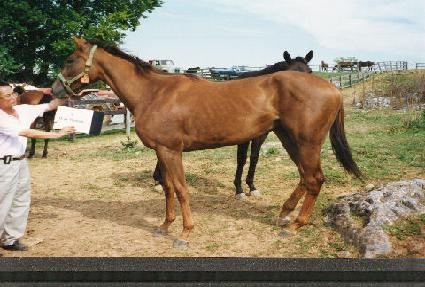 �����ҷο� ����