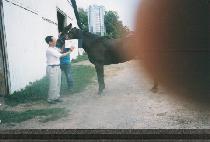 �̽�Ʈ�׸����� (EAST GREENWICH) ����