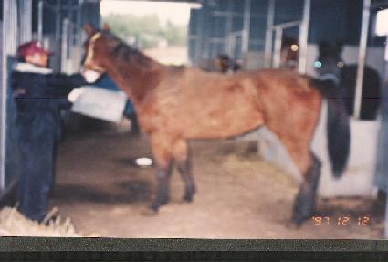 �ϸ�������̵�ų�� ����