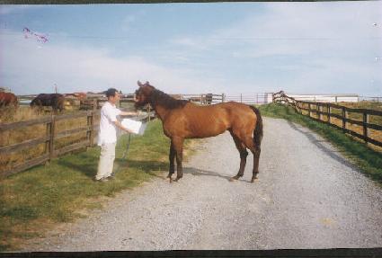 ��Ʋ���̵�� ����