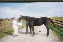 ����Ų������ (MAKIN AYES) ����