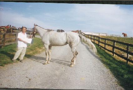 �пÿ��� ����