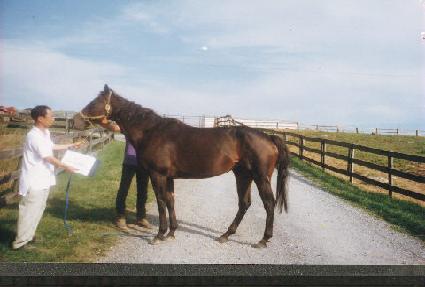 Ŭ���ù�� ����