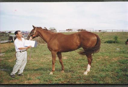 Ŀ��ƮťƼ ����