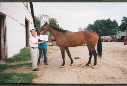 ���ڸ� ����