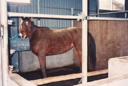 �縰����ũ�� ����