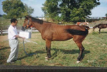 �����Ʈ���� ����