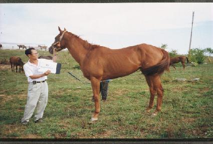 ���ɾ��ξ� ����