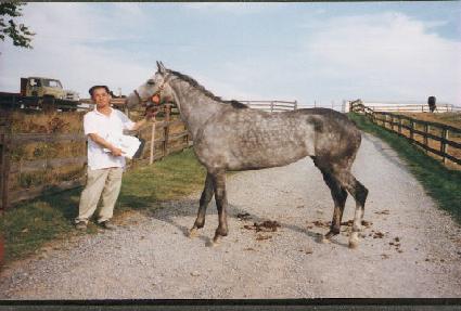 �����ǹ� ����