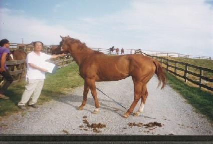 ������������ ����