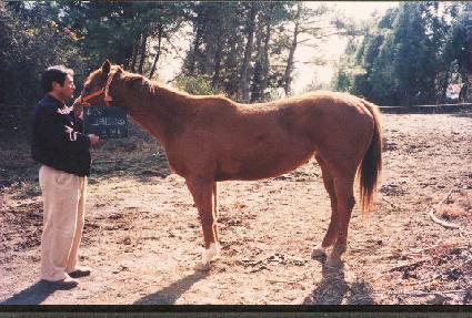 �׷���Ʈ�׷��� ����