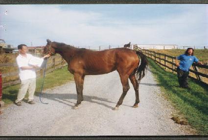 ����Ǯ���̽ý� ����