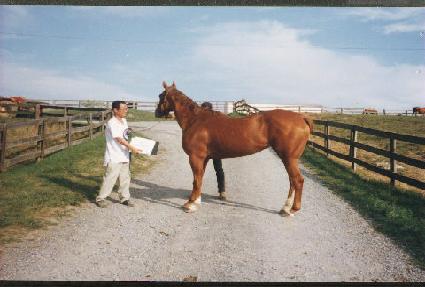 �η������� ����