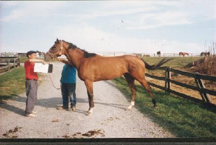 ü��Ű�帮�� ����