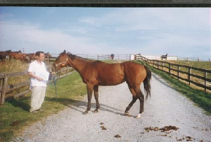 �̽������ ����