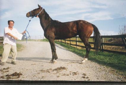 �̽�ġ�������� ����