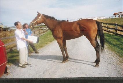 �����κ��� ����