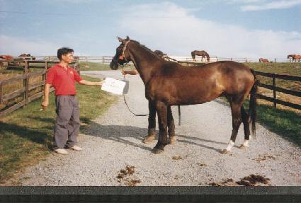 �Ľ��跲 ����