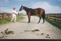 ���̹��̸ŵ� (BYE BYE MADDI) ����