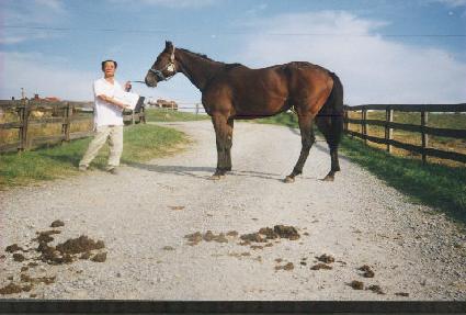 ���̹��̸ŵ� ����